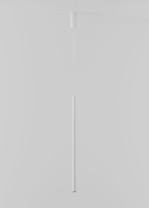 HL  100 - Image 7