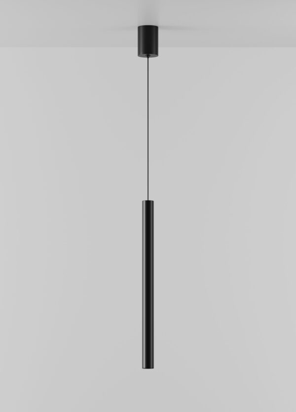 HL 101 - Image 2