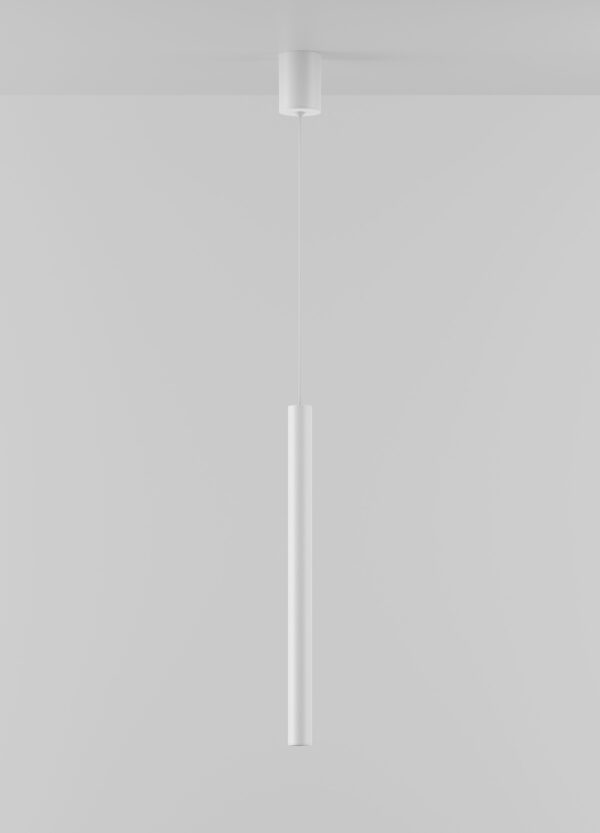 HL 101 - Image 7